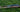 Two Tater pro maple wood bats, an X6 in black and natural and an SM6-X in brown, lying in the grass